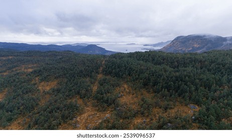 Aerial view of a lush green forest with rolling hills and a distant ocean. The landscape features coniferous trees and rocky terrain under a cloudy sky, creating a serene and natural atmosphere. - Powered by Shutterstock