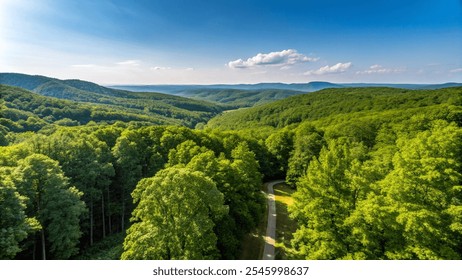 Aerial view of a lush green forest with a winding road cutting through the mountainous landscape.
 - Powered by Shutterstock