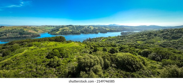 Aerial view of lush green hills in spring, Tilden Park, Berkeley Hills, California, USA