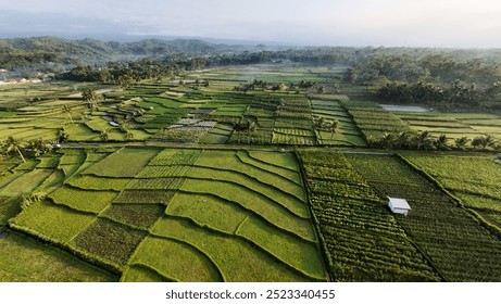 Aerial view of lush green rice fields in a rural countryside landscape with mountains in the background, showcasing beautiful terraced farming patterns and peaceful natural surroundings. - Powered by Shutterstock