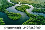 Aerial View of Lush River Delta