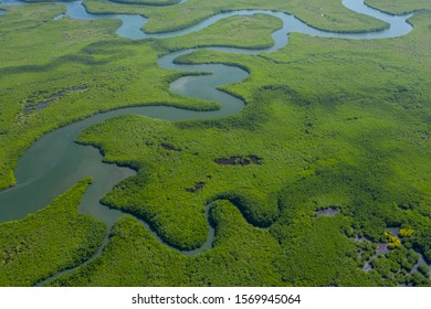 Aerial view of mangrove forest in Gambia. Photo made by drone from above. Africa Natural Landscape. - Shutterstock ID 1569945064