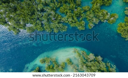 Aerial view of Mangrove forest, Mandalika surrounding area seascape aerial view