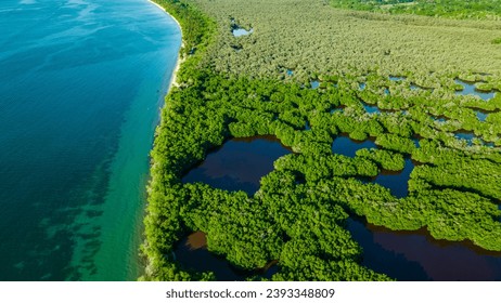 Aerial view of mangrove forests and the Caribbean Sea in Rincon del Mar, Sucre, Colombia, highlighting the region’s natural beauty and biodiversity