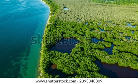 Aerial view of mangrove forests and the Caribbean Sea in Rincon del Mar, Sucre, Colombia, highlighting the region’s natural beauty and biodiversity
