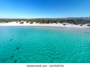 523 Pia Beach Images, Stock Photos & Vectors | Shutterstock