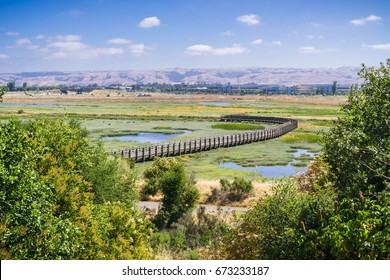 Aerial View Of The Marshes In Don Edwards Wildlife Refuge, Fremont, San Francisco Bay Area, California