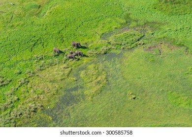 Aerial View Masai Mara Kenya