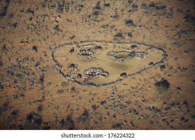 Aerial View Of Masai Village In Nature's Circle And Goat Herds Near Lewa Conservancy, Kenya, Africa