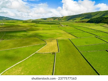 Aerial view of meadows of dairy farms in Azores - Powered by Shutterstock