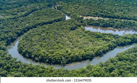 2,664 Amazon rainforest panorama Images, Stock Photos & Vectors ...