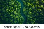 Aerial View of a Meandering River through a Forest