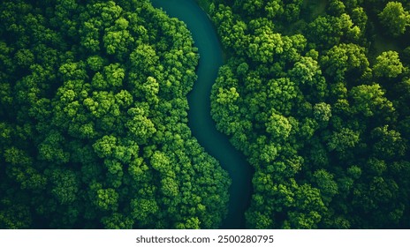 Aerial View of a Meandering River through a Forest