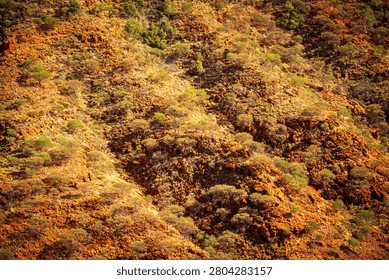 Aerial view of mesmerising patterns of undulating hills in Kings Canyon (Watarrka) National Park, Central Australia. 