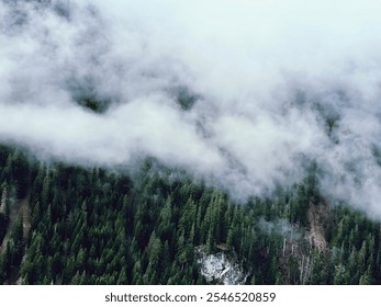 Aerial view of a misty spruce forest in the French Alps. Dense green pines emerge through drifting fog, creating a serene, mystical atmosphere and showcasing the beauty of the alpine landscape.  - Powered by Shutterstock