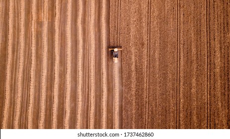 Aerial View Modern Agricultural Equipment , Machinery, Tractor  Harvests Wheat Field. Seasonal Works. Drone Shot. Picture With Space For Text. Farmland From Above