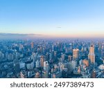 Aerial view of modern city skyline and buildings at sunrise in Shanghai.