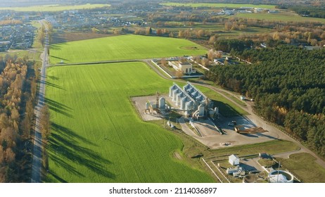 Aerial View Modern Granary, Grain-drying Complex, Commercial Grain Or Seed Silos In Sunny Rural Landscape. Corn Dryer Silos, Inland Grain Terminal, Grain Elevators Standing In A Field .Aerial View