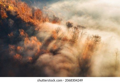 Aerial view of mountain forest in low clouds at sunrise in autumn. Hills with red and orange trees in fog in fall. Beautiful landscape with mountain, foggy forest, sunbeams. View from above of woods