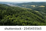 Aerial view of mountain hills covered with dense green lush woods on bright summer day.