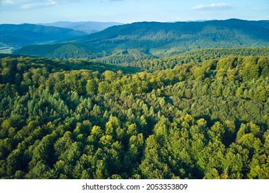 Aerial view of mountain hills covered with dense green lush woods on bright summer day. - Shutterstock ID 2053353809