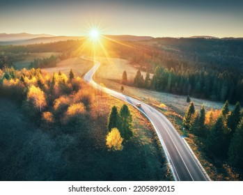 Aerial view of mountain road in autumn forest at sunset in Ukraine. Top view from drone of road in woods. Beautiful landscape with roadway in hills, yellow trees, meadows, golden sunlight in fall