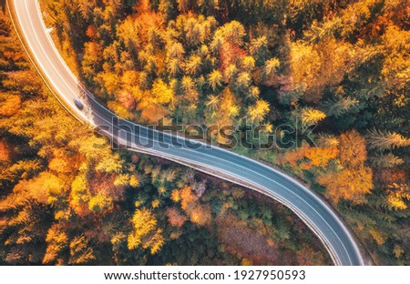 Aerial view of mountain road in beautiful forest at sunset in autumn. Top view from drone of winding road in woods. Colorful landscape with curved roadway, trees with orange leaves in fall. Travel	