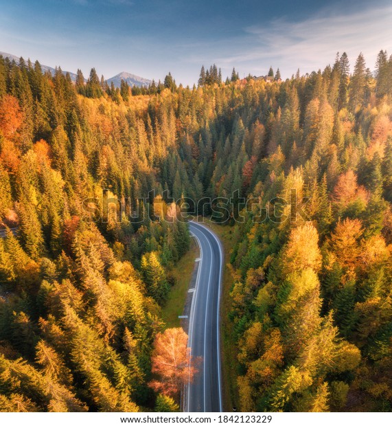 Aerial view of mountain road in beautiful forest at\
sunset in autumn. Top view from drone of winding road in woods.\
Colorful landscape with empty roadway, trees with orange leaves,\
blue sky in fall
