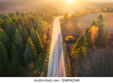 Aerial view of mountain road in forest at sunset in autumn. Top view from drone of road in woods. Beautiful landscape with roadway in hills, pine trees, green meadows, golden sunlight in fall. Travel - Powered by Shutterstock