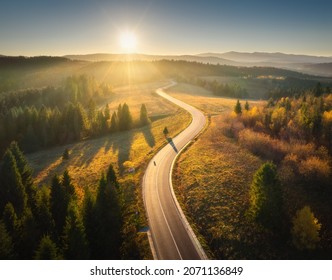 Aerial view of mountain road in forest at sunset in autumn. Top view from drone of road in woods. Beautiful landscape with roadway in hills, pine trees, green meadows, golden sunlight in fall. Travel - Powered by Shutterstock
