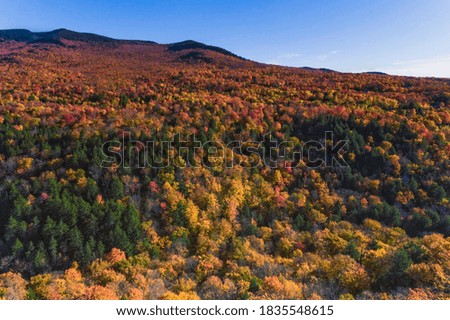 Similar – Image, Stock Photo Autumn forest and mountain lake