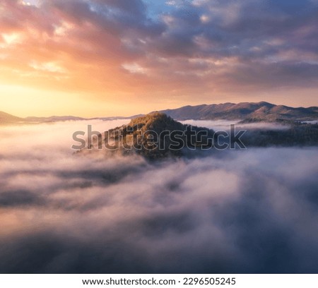 Aerial view of mountains in low clouds at sunrise in summer. Slovenia. View from above of mountain peak in fog. Beautiful landscape with rocks, forest, sunlight, colorful sky. Top view of foggy hills