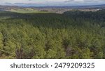 Aerial view of mountains and trees in foothills of NC.