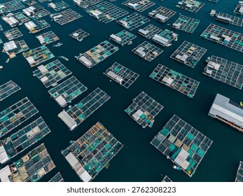 Aerial view Multiple floating fish farm platforms arranged in open water.