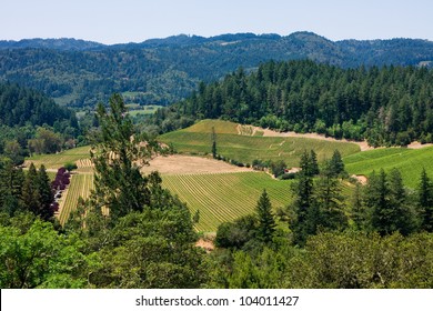 Aerial View Of Napa Valley, California