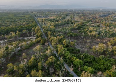 Aerial view of a narrow road cutting through a lush green mangrove forest - Powered by Shutterstock