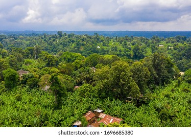 Aerial View Of The National Park Forest Near Mountain Kilimanjaro, Tanzania With Mountain Rivers And Tropical Jungle.