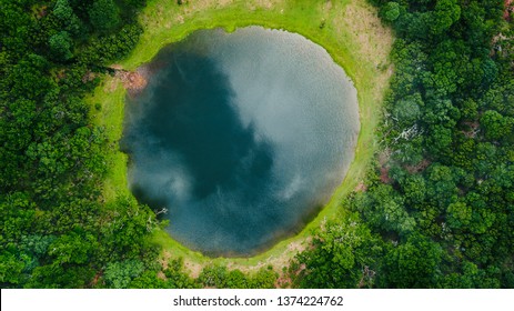 Aerial view of natural pond surrounded by pine trees in Fanal, Madeira island, Portugal
