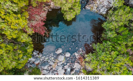 Aerial view of natural pond surrounded by trees in 