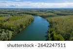 Aerial view of a natural river meandering through dense floodplain forest. The scene shows an untouched watercourse surrounded by lush spring vegetation.