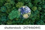 Aerial view of nature green forest and tree. Forest ecosystem and health concept and background, texture of green forest from above.Nature conservation concept.Natural scenery tropical green forest.