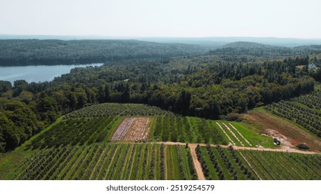 Aerial view of New England Apple Orchard - Powered by Shutterstock