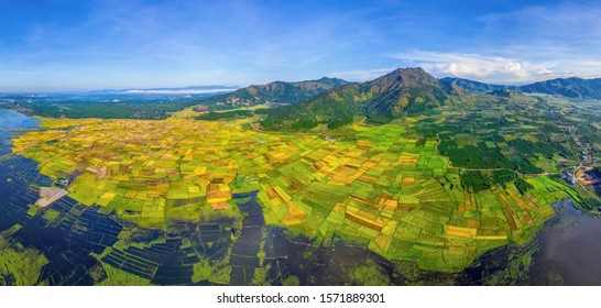 Aerial view of Ngo Son rice field, Gia Lai, Vietnam. Royalty high-quality free stock Panorama image landscape of terrace rice fields in Vietnam