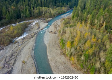 Aerial View Of The Nooksack River During The Autumn Season. Yellows And Greens Dominate The Landscape In This Overhead Look At One Of The Salmon Producing Rivers In The Pacific Northwest.