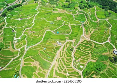 Aerial view of Obasute rice terraces - Shutterstock ID 2214635105