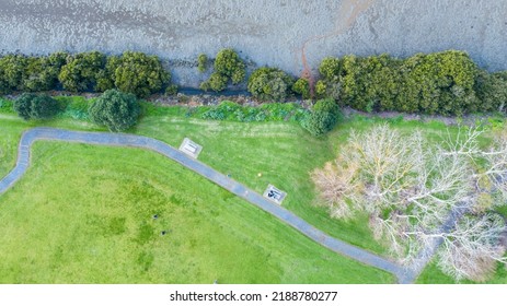 Aerial View From The Ocean, Forest, Green Trees, City Streets Football Soccer Field Seaside Park In Otahuhu, New Zealand - Auckland