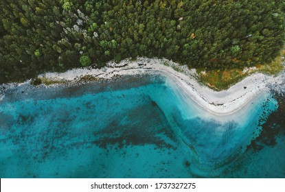 Aerial view ocean sandy beach and coniferous forest drone landscape in Norway above trees and blue sea water scandinavian nature wilderness top down scenery 