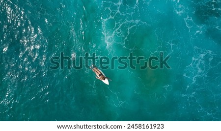 Similar – Image, Stock Photo Young surfer woman in bikini going surfing stands with surfboard on the black sandy beach. Girl walks with longboard. Extreme water sport by the ocean, sea. Healthy Active Lifestyle. Summer Vacation