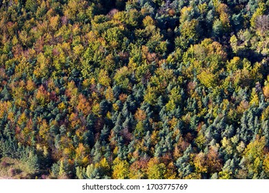 Aerial View Of The Oise Countryside