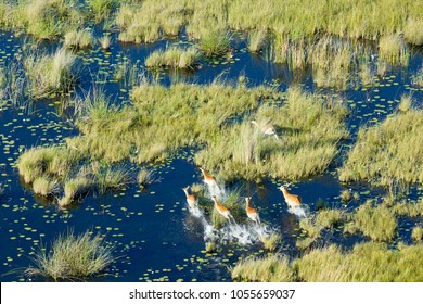 Aerial view to Okavango - Shutterstock ID 1055659037